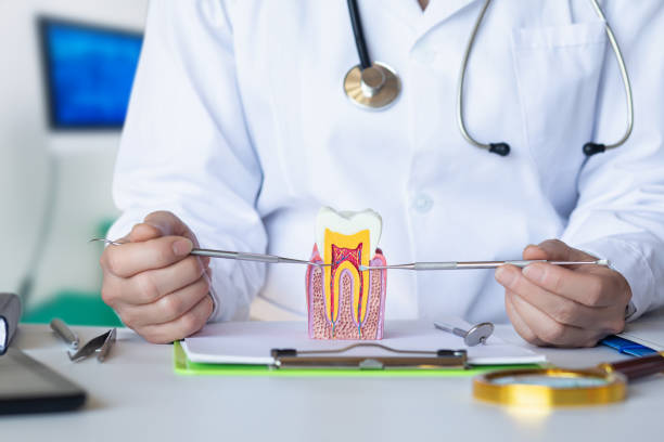 Best Urgent Dental Care for Toothache in Rural Hill, TN